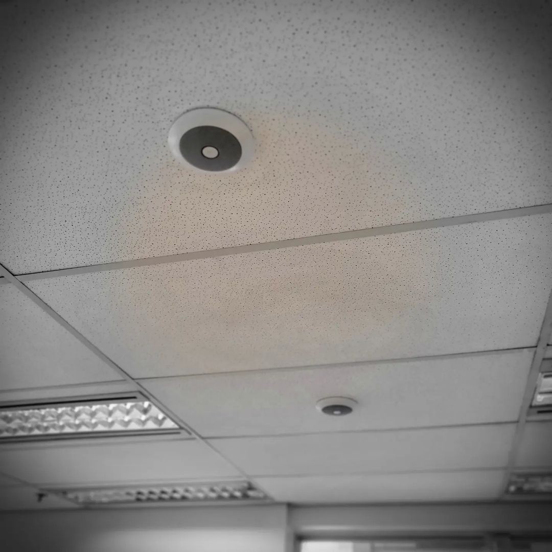 Sistema de Sala de Reuniões  - Microfones brancos no teto